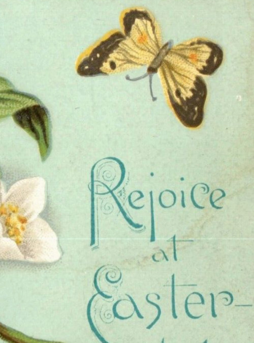 1883 Victorian Easter Tide Card Yellow Butterfly White Blossoms F142