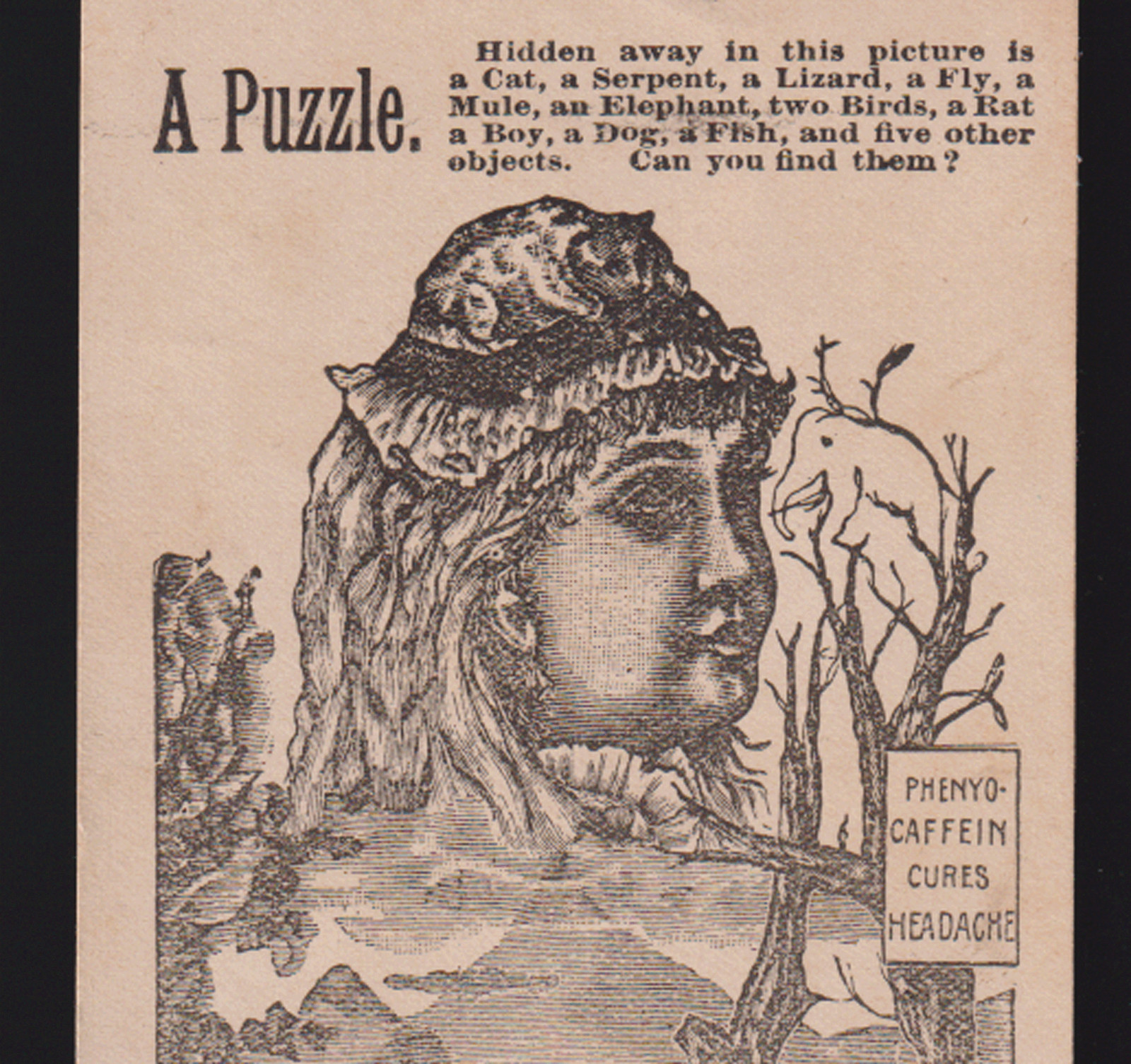 WORCESTER MA PUZZLE TRADE CARD, PHENYO-CAFFEIN CO. CURE ALL for 25c a BOX K290