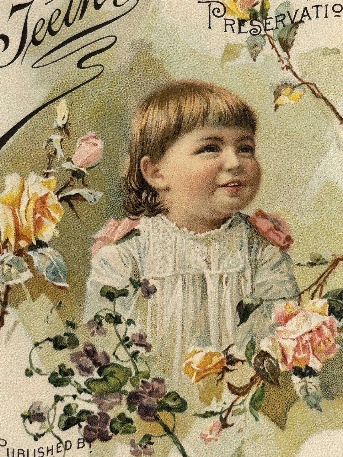 1891 Advertising Trade Card Booklet E W Hoyt & Co The Teeth Care & Preservation