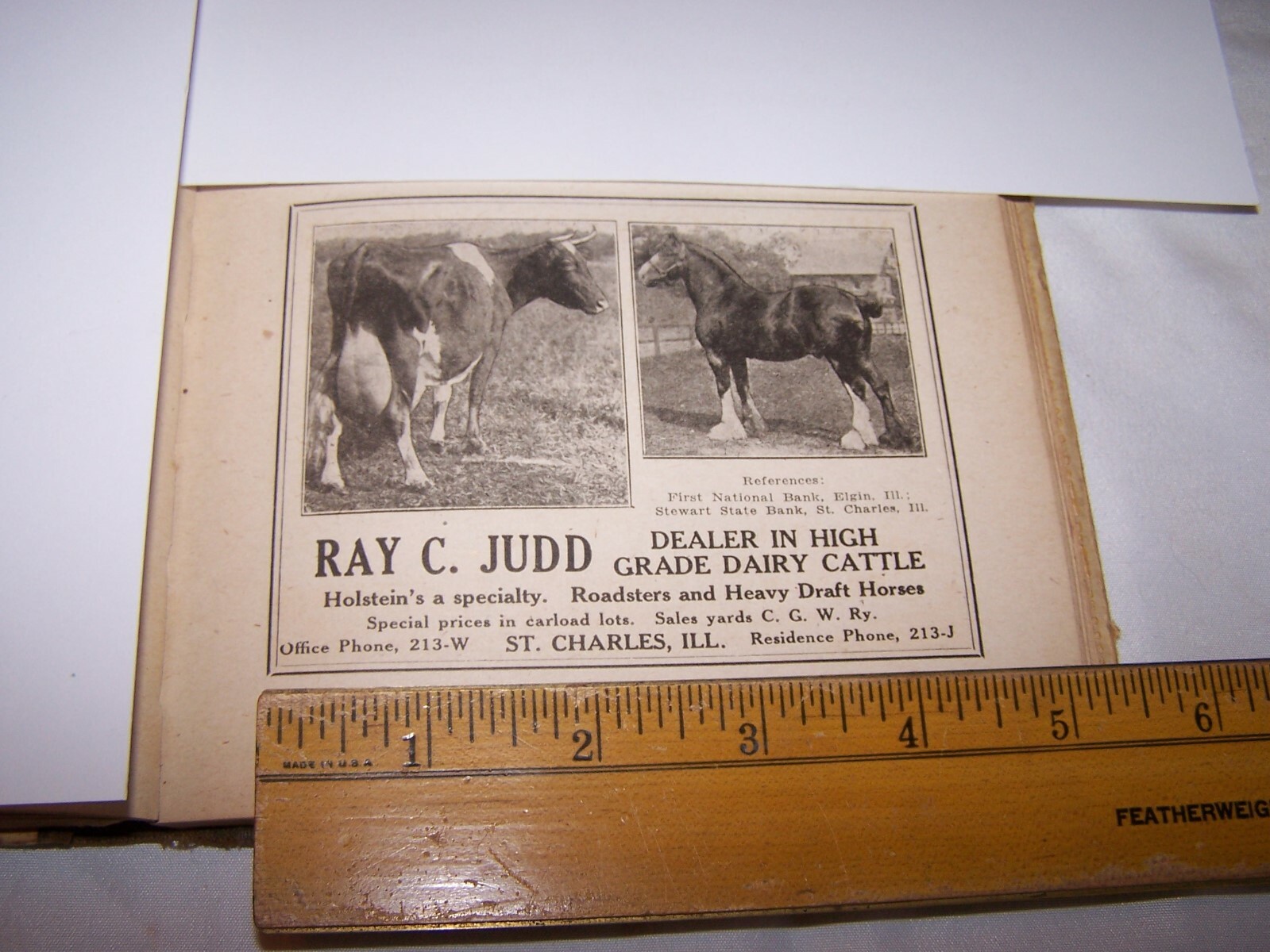 1918 RAY C JUDD DAIRY CATTLE DRAFT HORSES Print Ad ST CHARLES ILLINOIS – Lot 113
