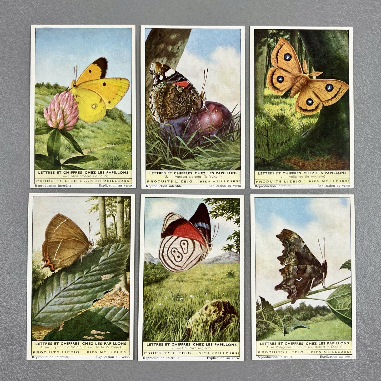 Reproduction Trade Card French Butterflies Set Of 6 Papillons Liebig 2.75×4.25″