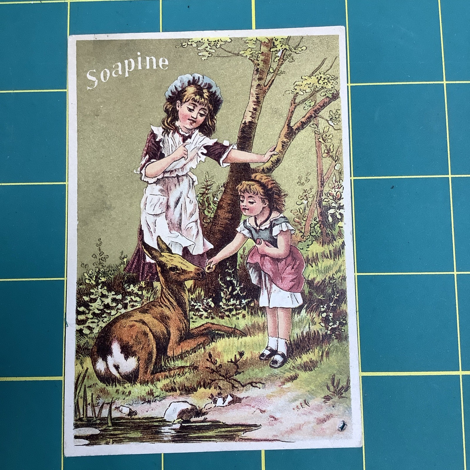 Victorian Trade Card SOAPINE Child Petting A Deer Donaldson Brothers NY
