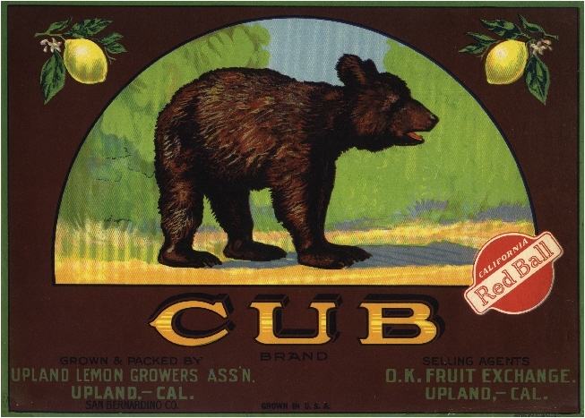 Upland Grizzly Brown Bear Cub #2 Lemon Citrus Fruit Crate Label Art Print