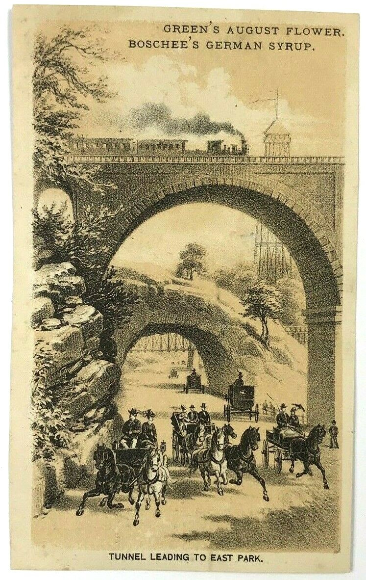 Green’s August Flower Boschee’s German Syrup Tunnel To East Park PA Trade Card