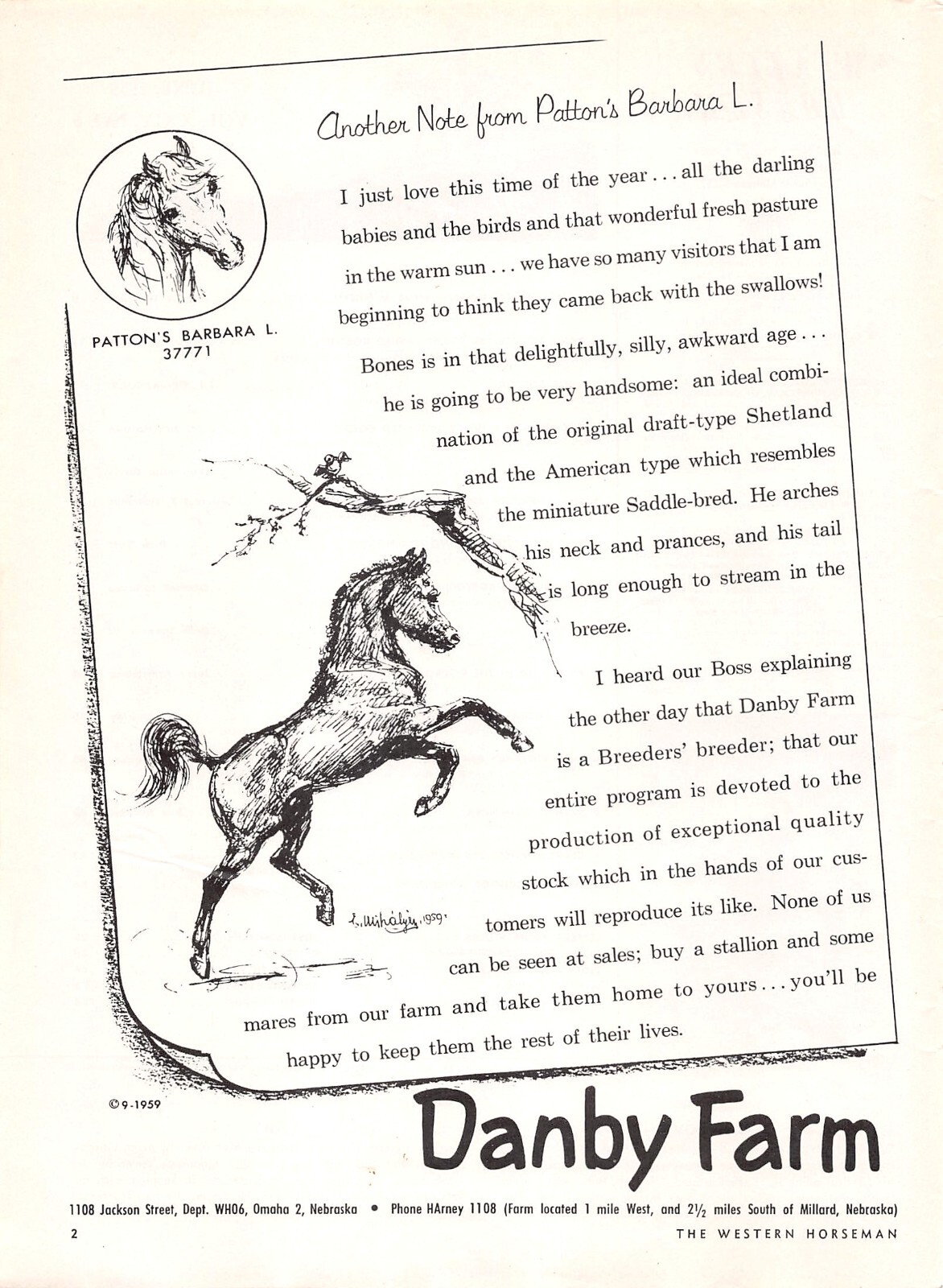 Danby Farm Breeder Stables Western Horse Omaha Nebraska Vtg Magazine Print Ad