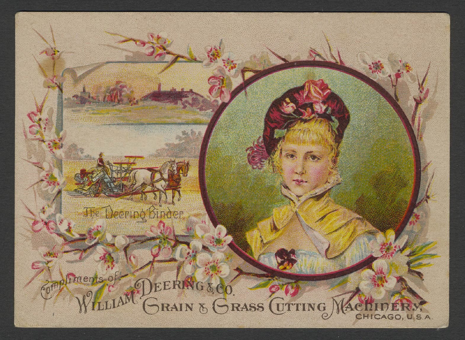 Chicago WILLIAM DEERING CO. GRAIN & GRASS CUTTING MACHINERY 19th C. Trade Card