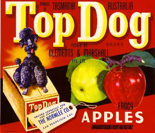 Tasmania Australia Top Dog Poodle Apple Apples Fruit Crate Label Art Print