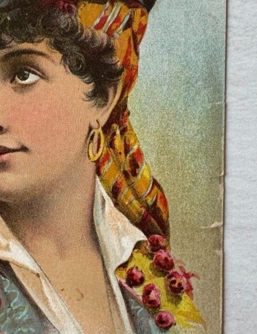 ca 1890s Victorian Trade Card Chicago & Erie Stove Co Invincible & Helper woman