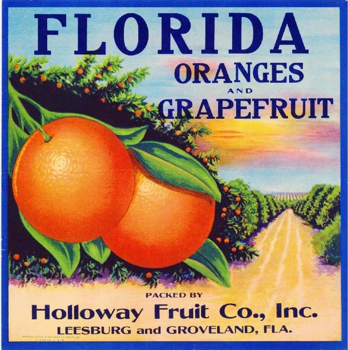 Leesburg & Groveland Florida Oranges Orange Citrus Fruit Crate Label Art Print