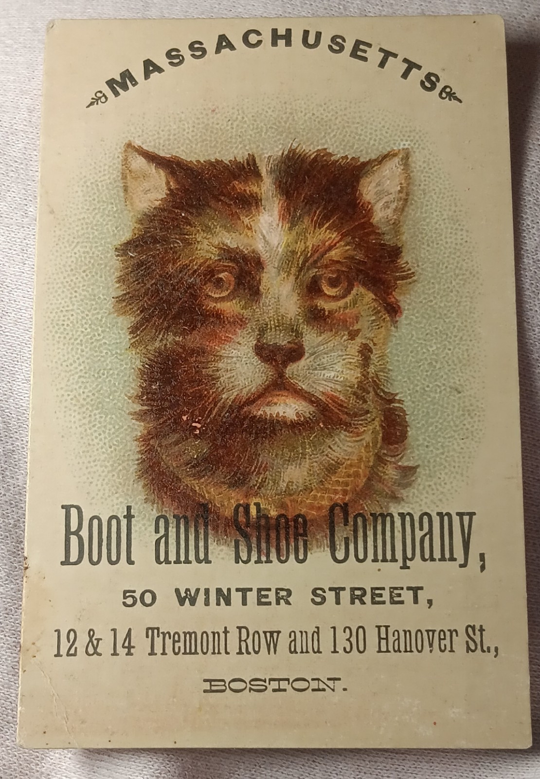 Antique Boston Massachusetts, Boot And Shoe Company, Waukenphast, Boots, Cat ,