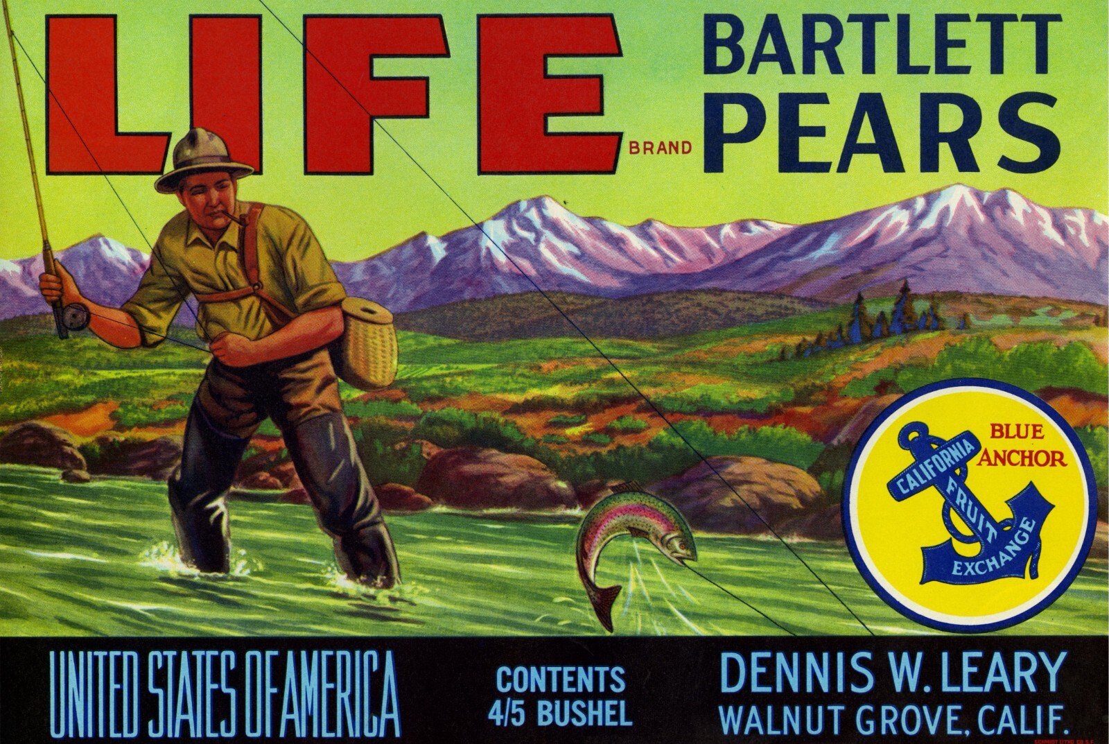 Life Brand Pear Crate Label Dennis W. Leary Walnut Grove California – 4/5 Bushel