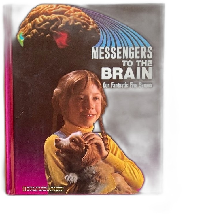 Messengers To The Brain Our Fantastic Five Senses National Geographic 1983 HC