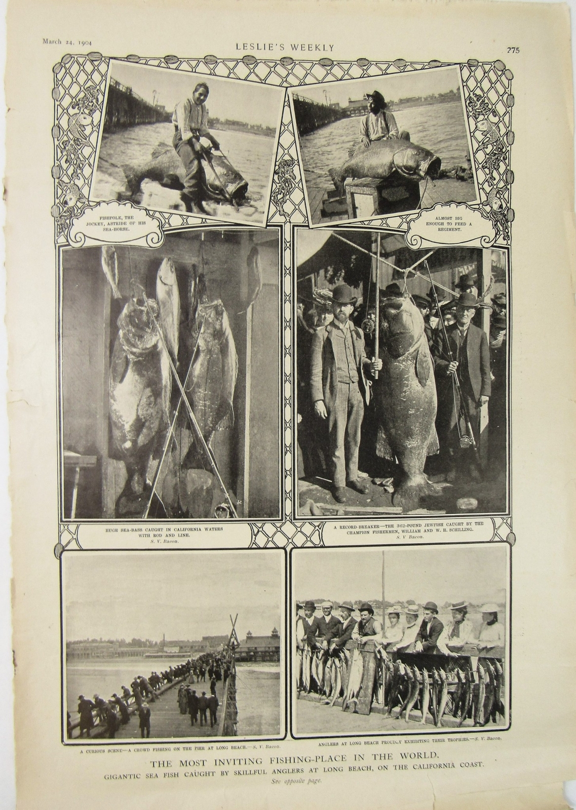 1904 Long Beach CA Fishing Ad Leslie’s Weekly Giant Sea Fishing Anglers Photos