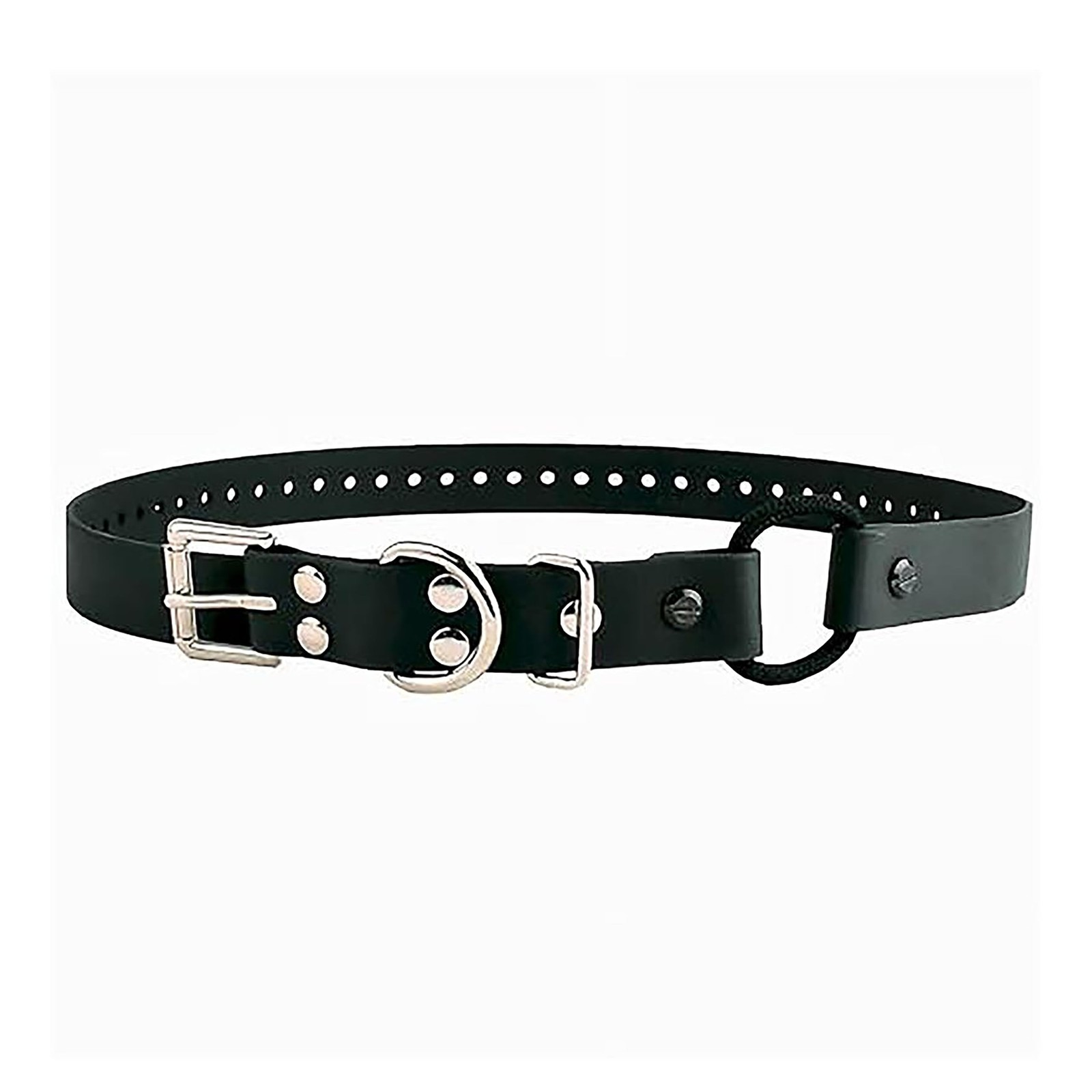 Educator Bungee Dog Collar, Biothane, Waterproof, Odorproof, Metal Buckle and…