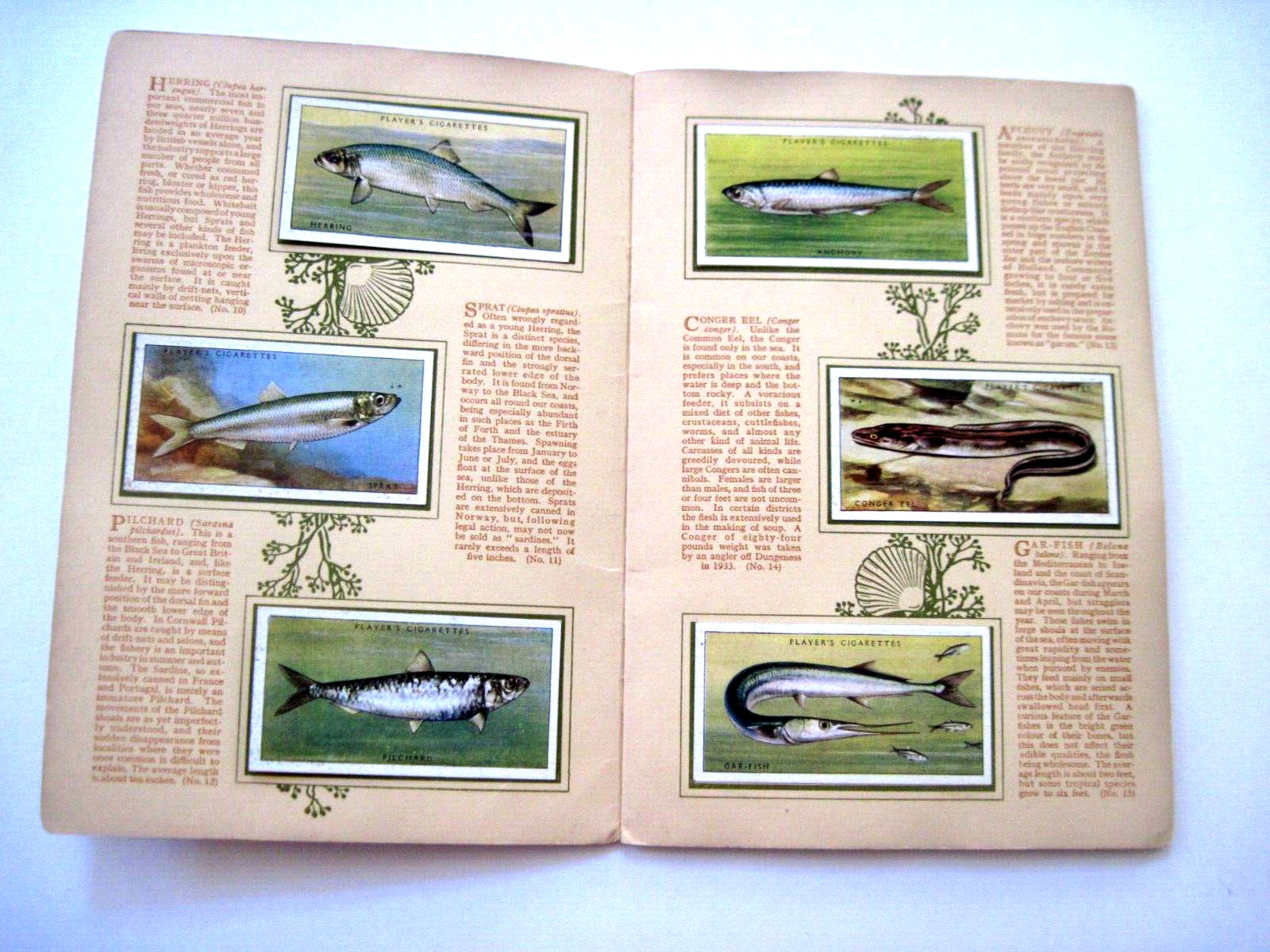 John Player & Sons Vintage “Sea Fishes” Album Complete with Cigarette Cards *