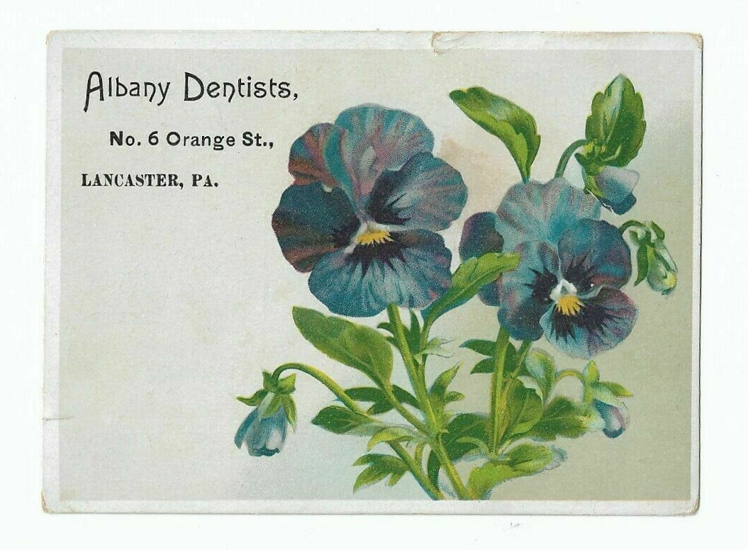 Victorian Trade Card Albany Dentists Lancaster PA 1880s 1890s Tooth Extraction