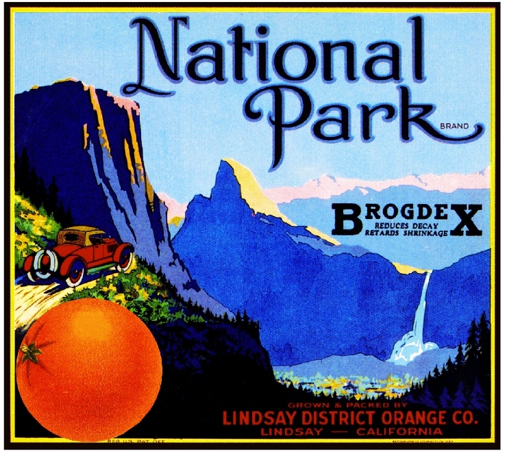 Lindsay Yosemite National Park Orange Citrus Fruit Crate Label Art Print