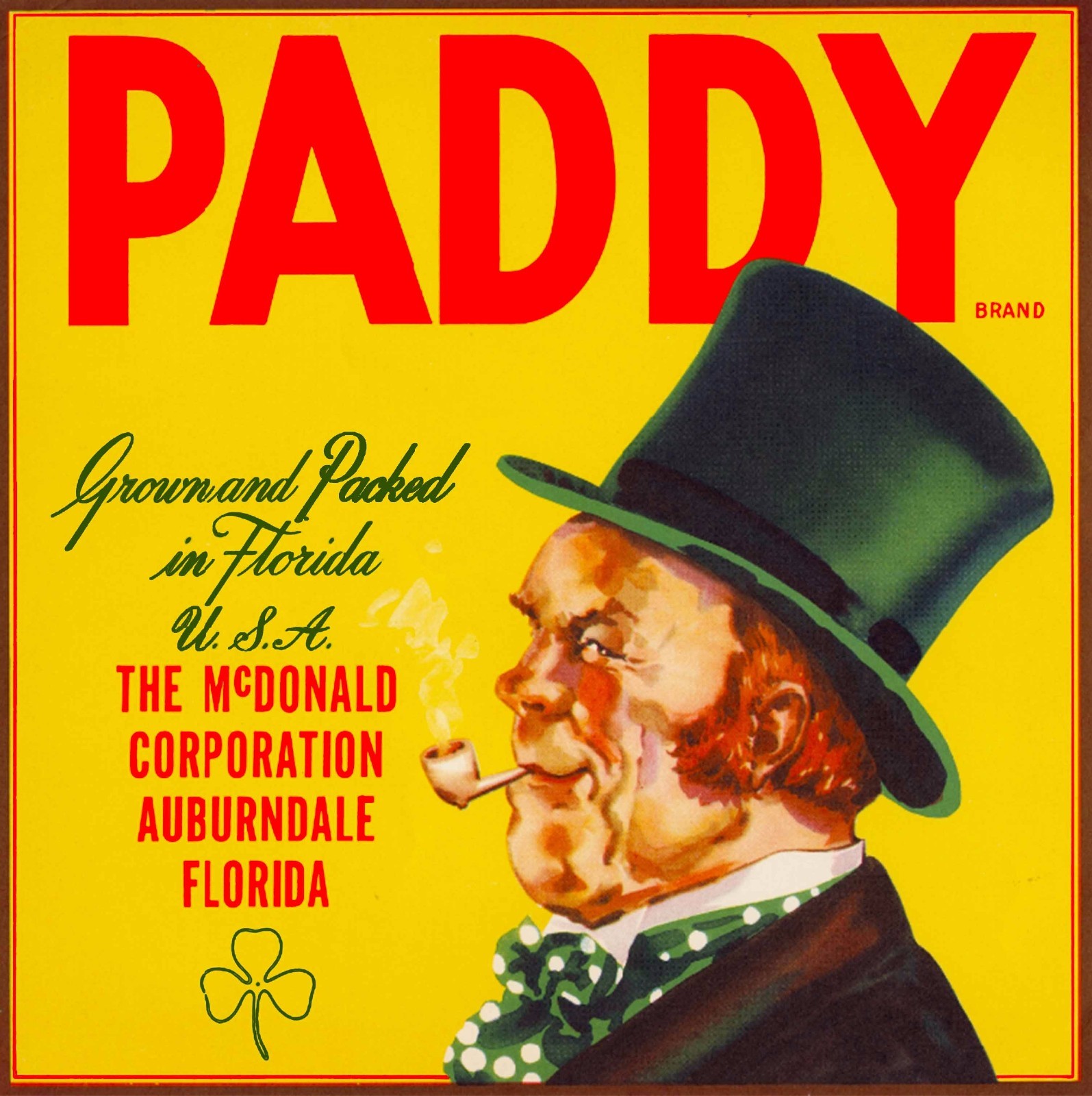 Auburndale Florida Paddy Brand Irish Orange Citrus Fruit Crate Label Print