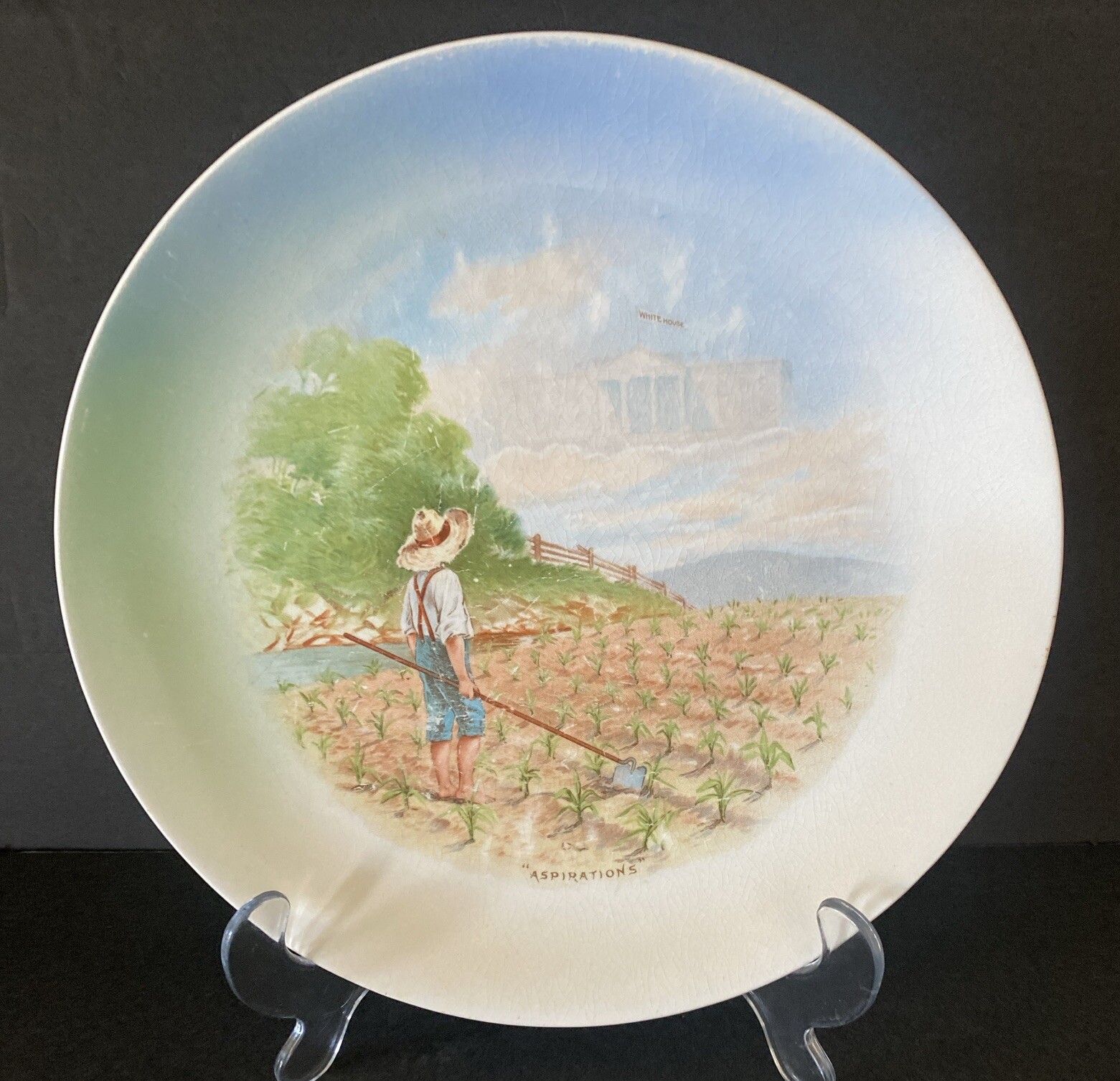 Aspirations White House Advertising Plate 9.5” Diameter Boy In Garden Dreaming