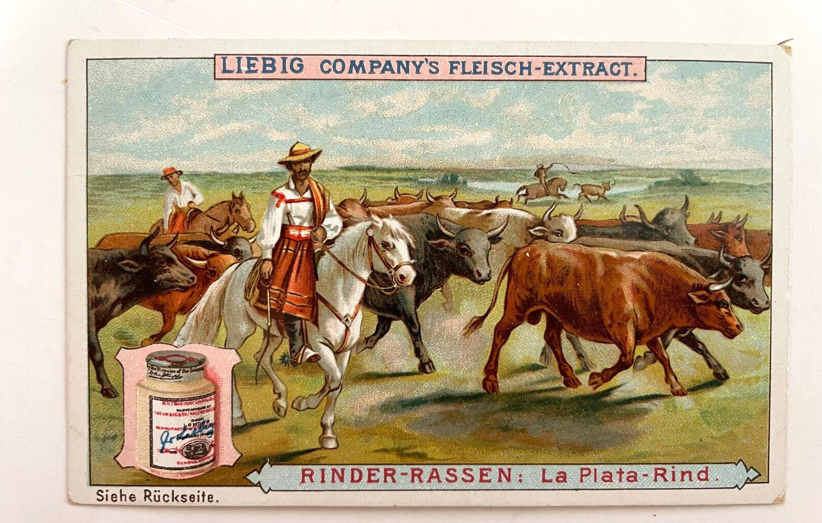 Fantastic German Victorian Trade Cards “Liebig” 1897 -Cattle Breeds -S503 *