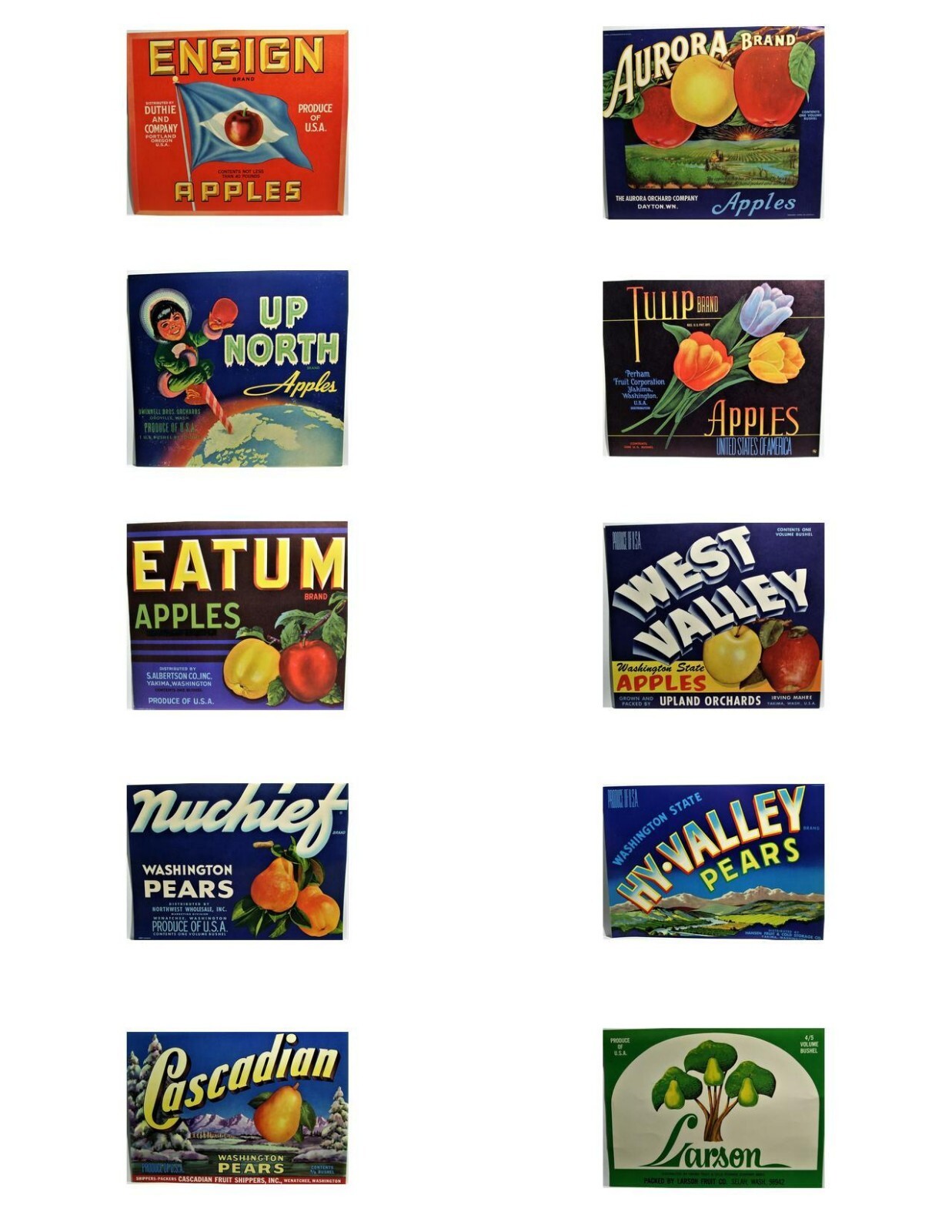 10 Rare 1890-1940 Antique Washington & Oregon Apple & Pear Crate Labels – Lot E