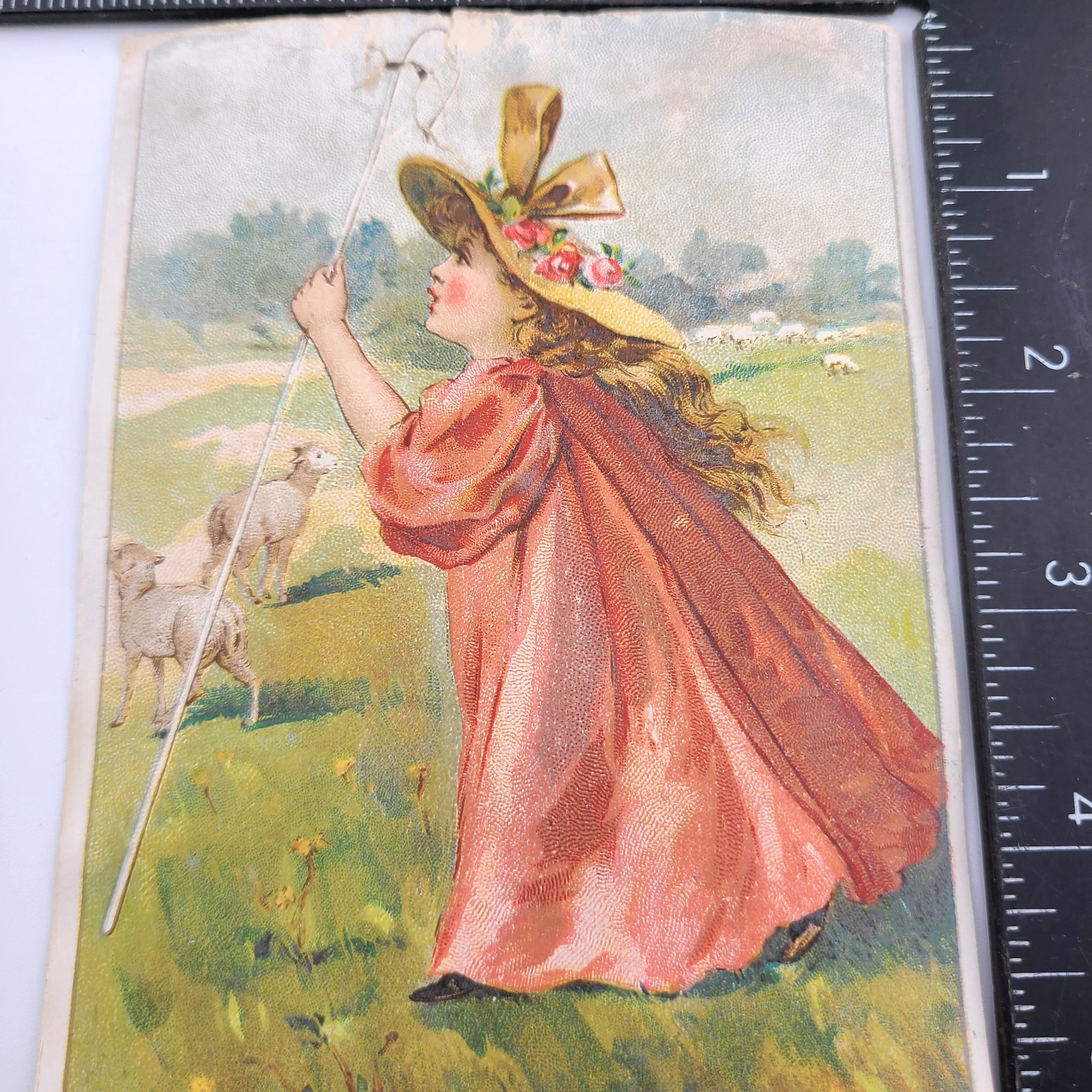 Victorian Trade Card (TORN) Girl Nice Hat & Cane Herding Sheep Woolson Toledo OH