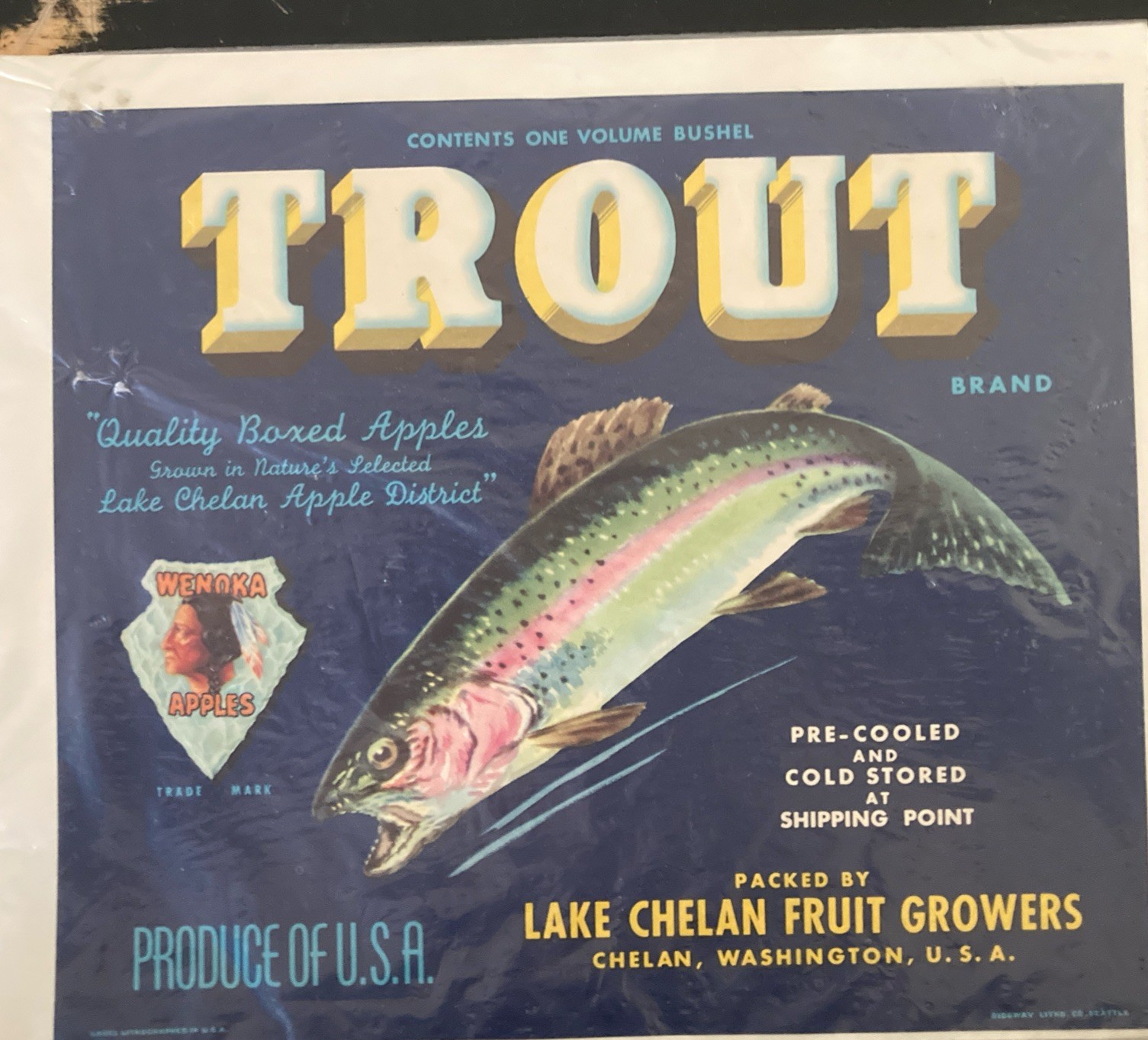 Trout Apple Box Label NOS Lake Chelan Fruit Growers Wenoka Apples TM 10.125×9″