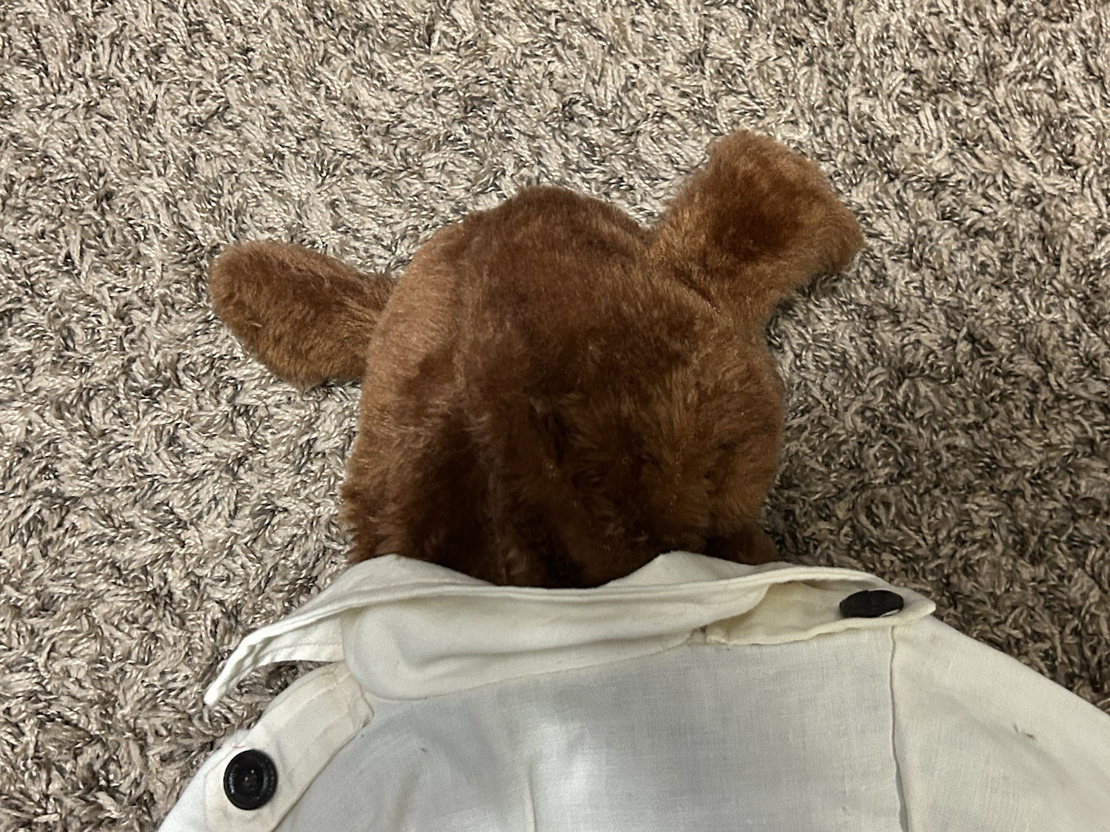 Scruff McGruff The Crime Fighting Dog Puppet 26″ NO SHOES