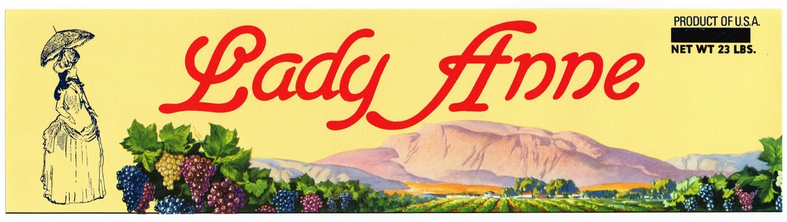 C1950S GRAPE CRATE LABEL ORIGINAL VINTAGE LADY ANNE LANDSCAPE W GRAPES RARE Y5