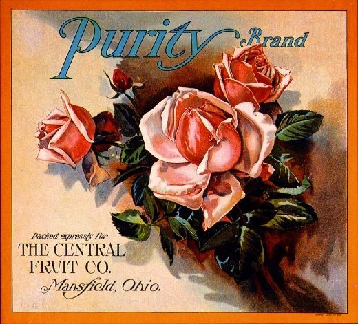 Mansfield Ohio Purity Pink Rose Flowers Orange Citrus Fruit Crate Label Print