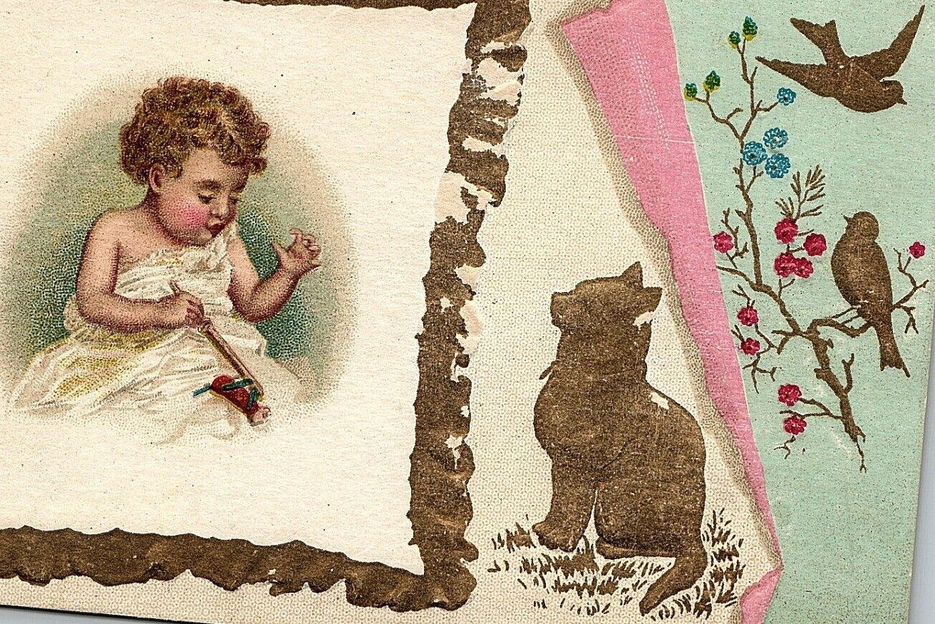 1894 Woolson Spice Co Lion Coffee Baby Gold Cat & Birds Embossed Gilt