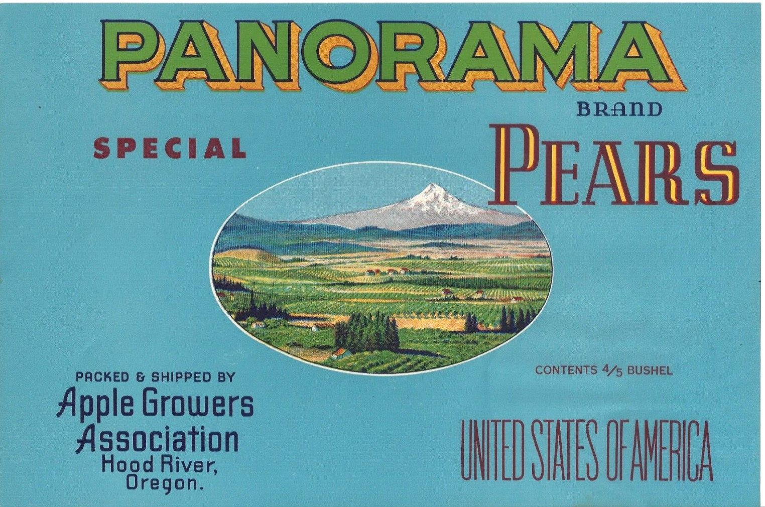 Original PANORAMA pear crate label Apple Growers Assn Hood River Oregon Mt Hood