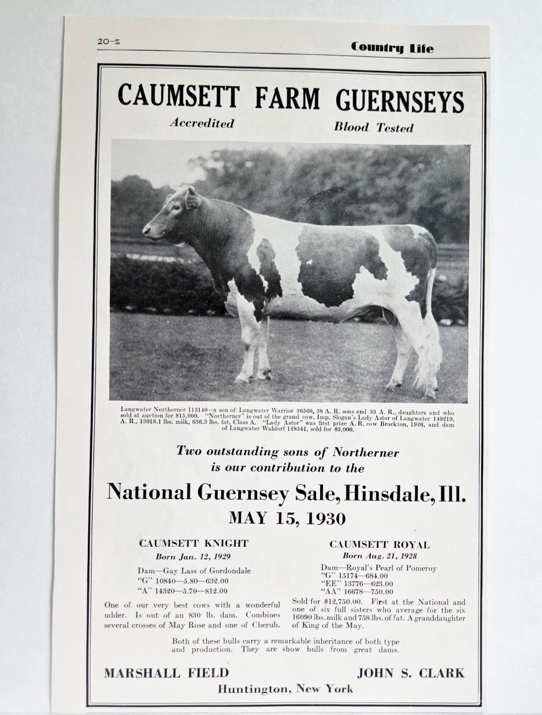 1930 Caumsett Farm Huntington LI Marshall Field Guernseys Dairy Photo Print AD