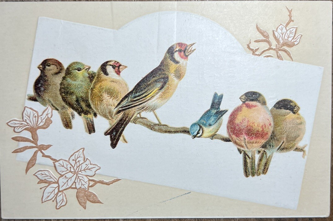 1800’s Woolson Spice Co. Lion Coffee Song Birds Vintage Trade Card Toledo OH
