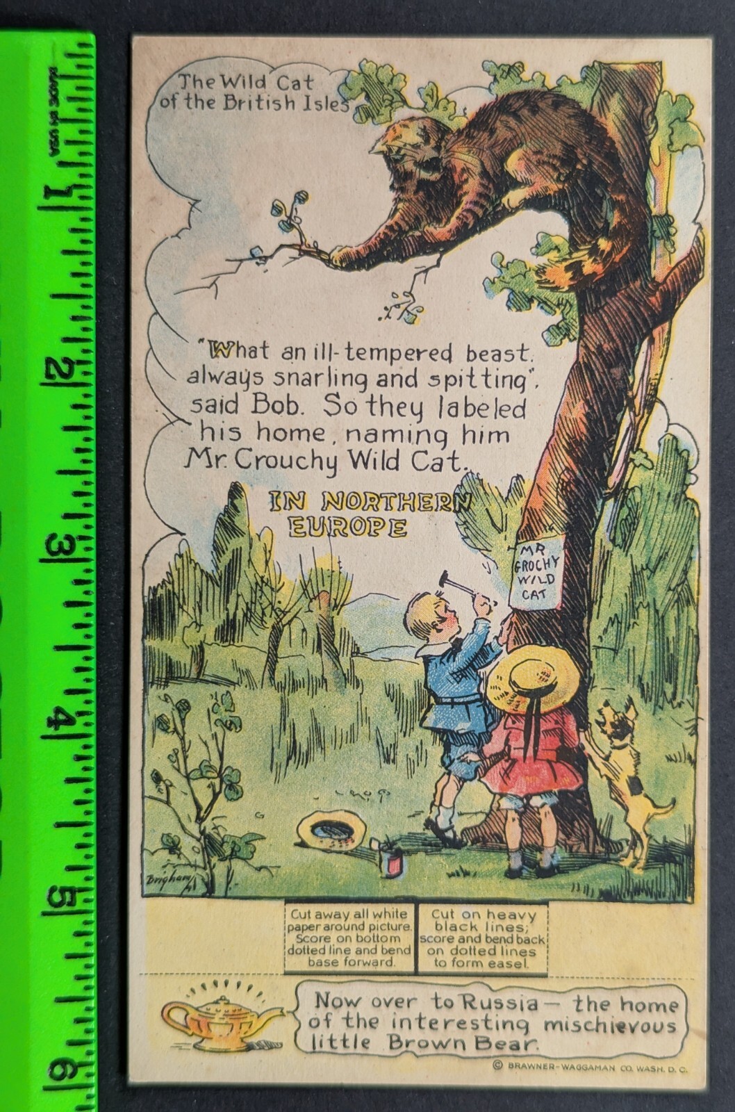Vintage Stolzenbach’s Butter Nut Bread Kids Wild Cat Dog Business Trade Card