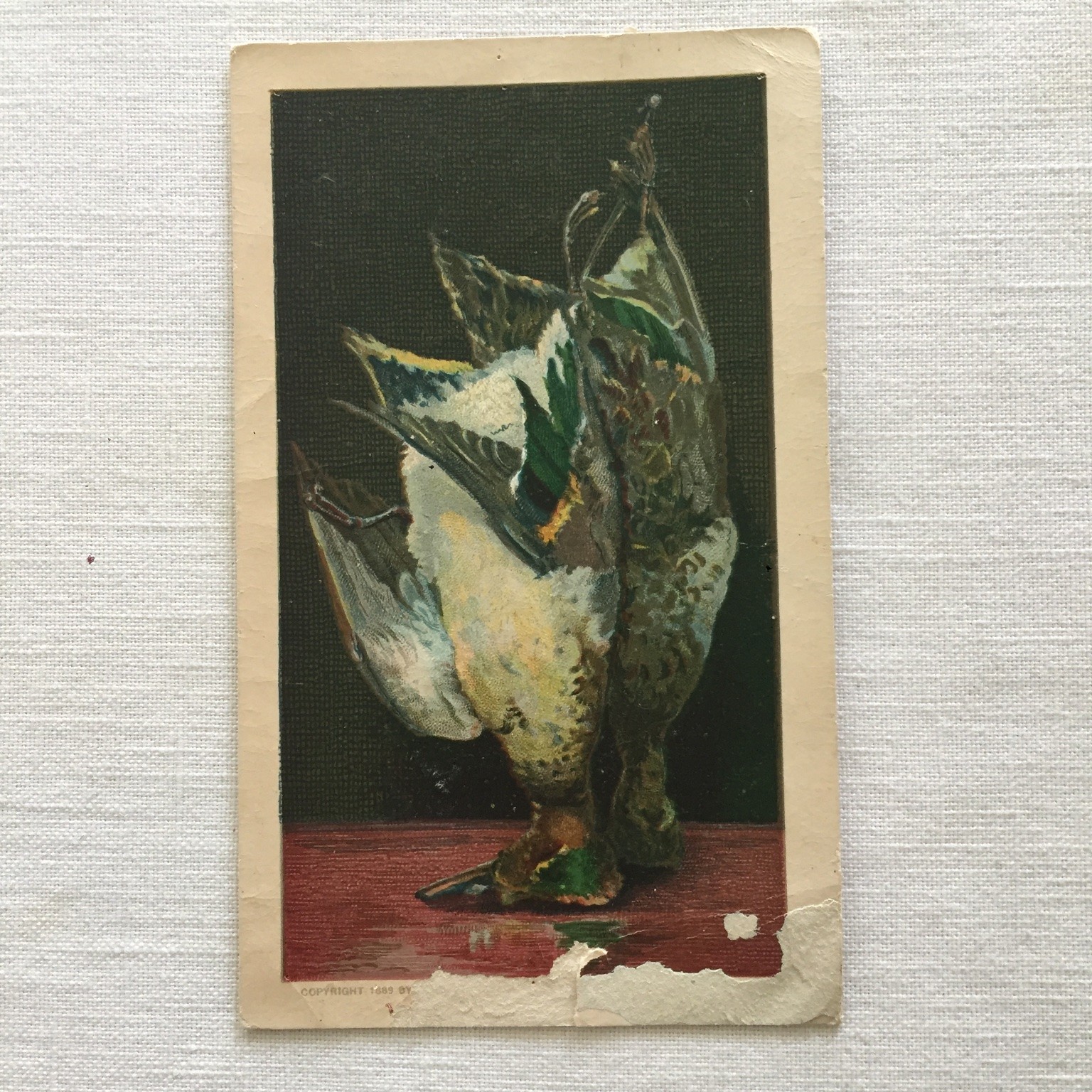 Arbuckle’s Ariosa Coffee Victorian Trade Card 1887 Game Birds Ducks & Recipe Art