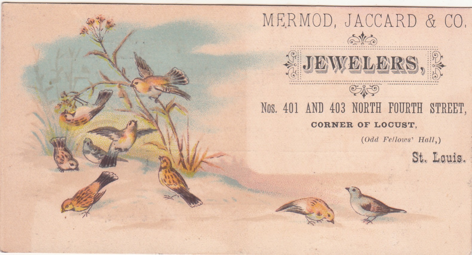 Mermod Jaccard & Co Jewelers St Louis Birds in the Sand Vict Card c1880s