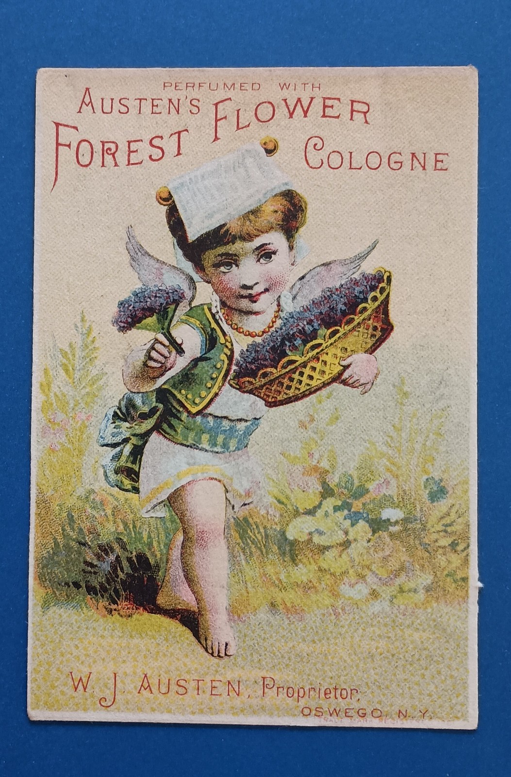 Austen’s Forest Flower Cologne Victorian Trade Card Springfield Massachusetts