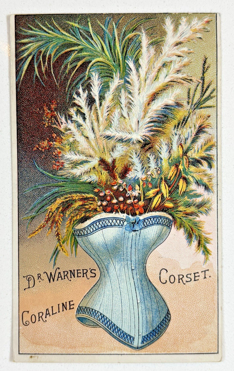 VICTORIAN TRADE CARD: 1880s Warner Brothers Corsets – New York
