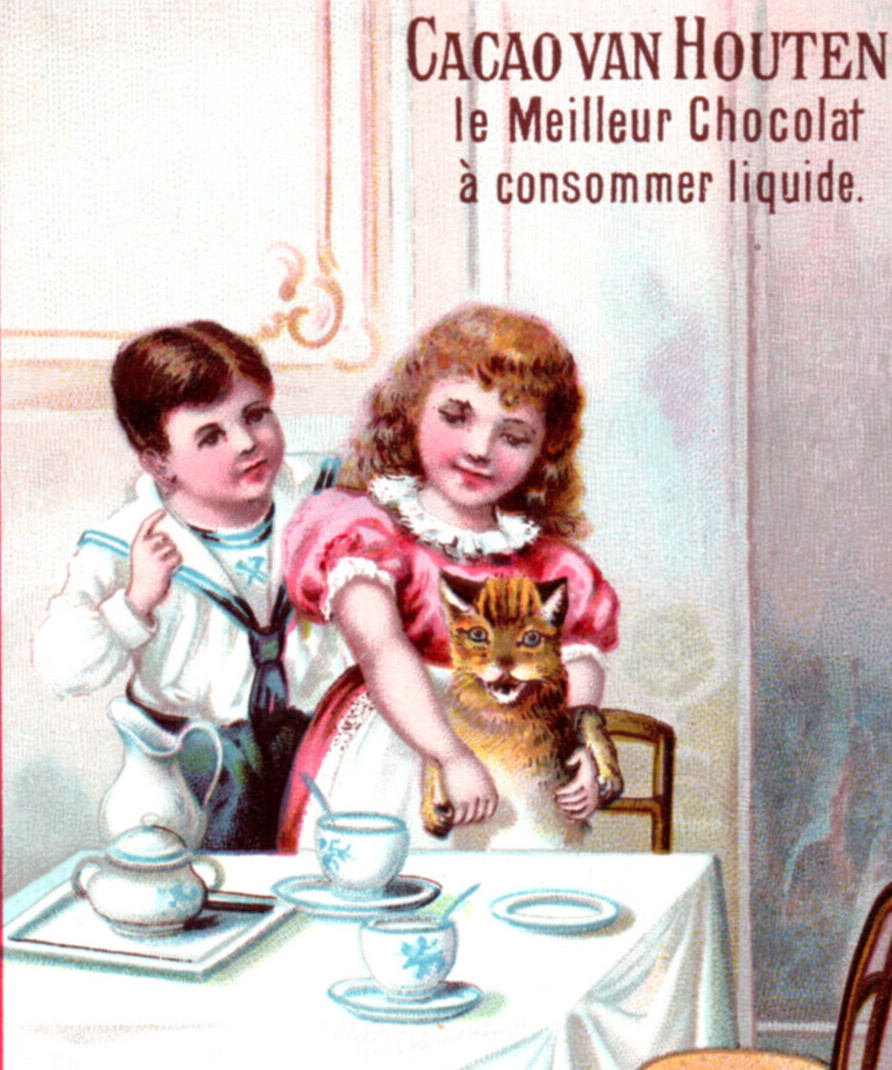 Cat Victorian Trade Card Van Houtens Cocoa Children