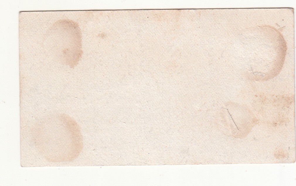 Francis Horsman Furniture Upholstery Providence RI Lion Snake Vict Card c1880s