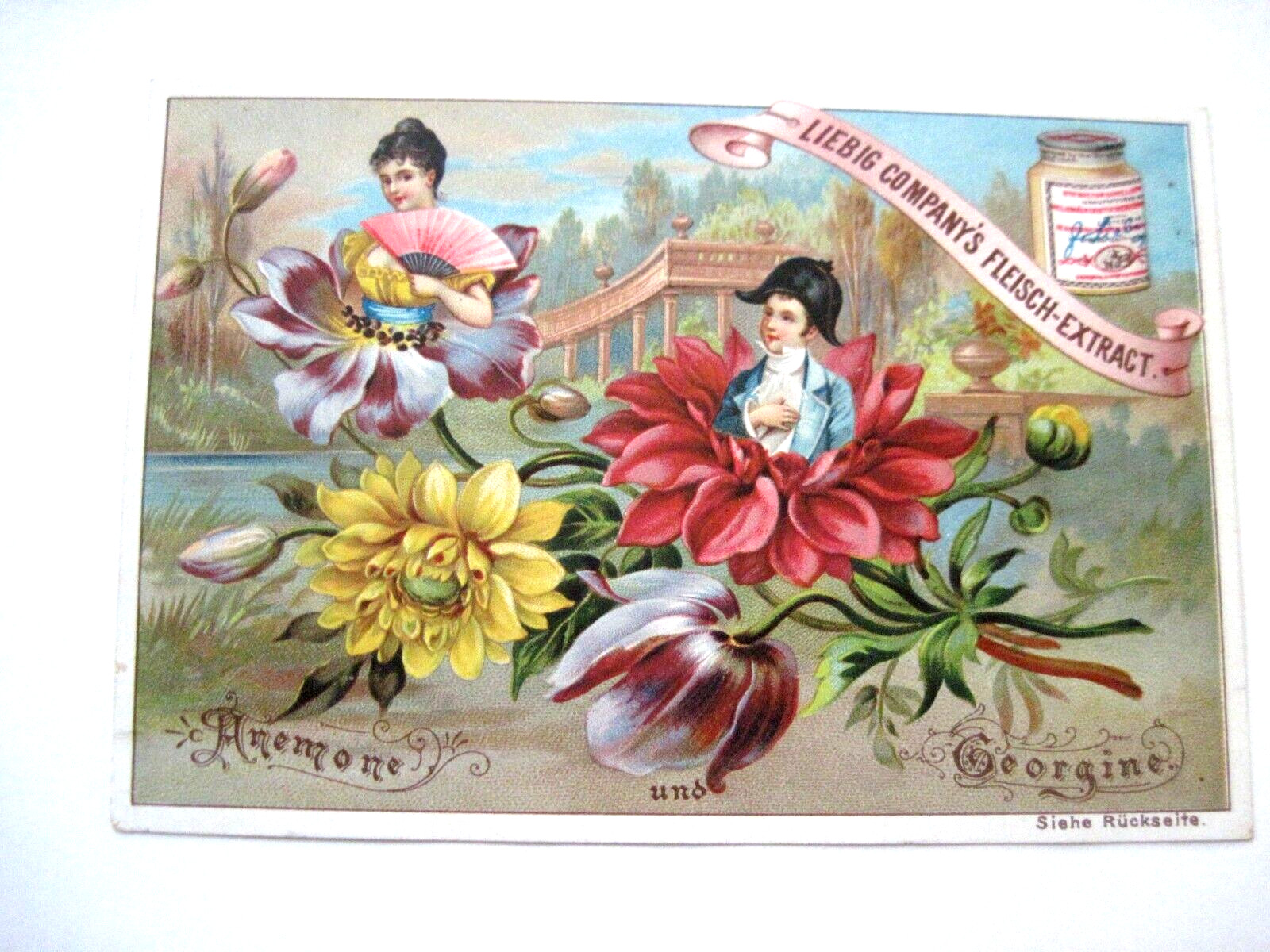 Lovely Victorian Trade Card “Liebig Co. Fleisch-Extract” w/ Beautiful Flowers *