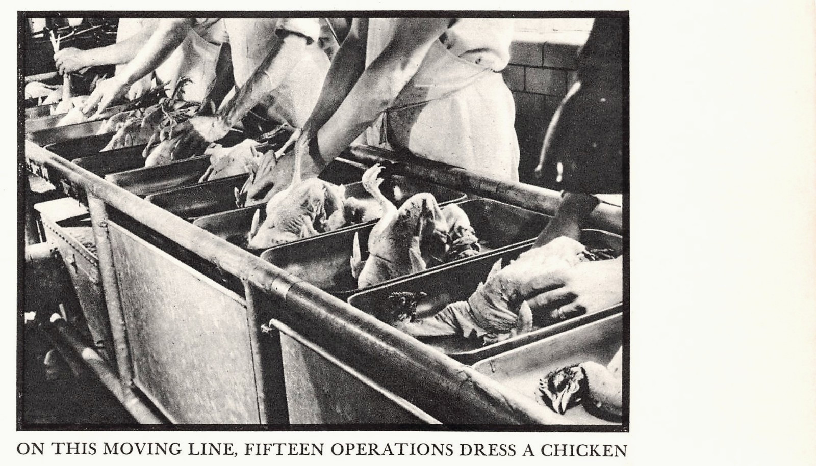Campbell’s Soup Company Chicken Processing Assembly Line Vtg 1935 Magazine Image