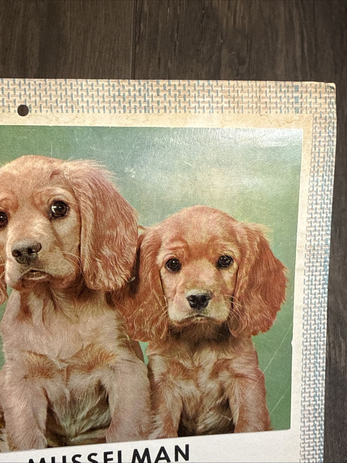 Complete Vintage 1961 Puppy Dog Wall Calendar TV Sales Advertising from Illinois
