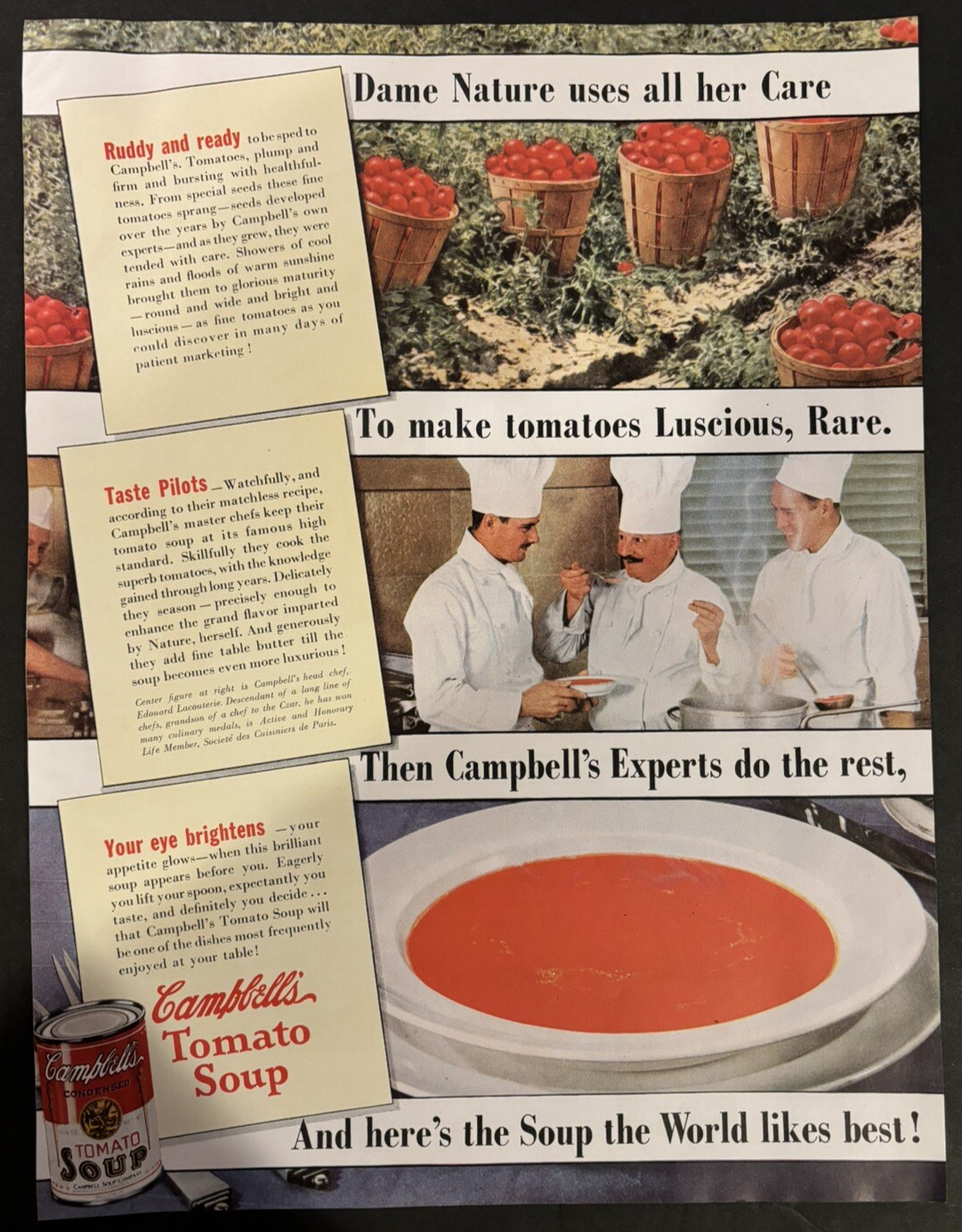 Vtg 1930s Campbell’s Tomato Soup AD, Del Monte AD on Reverse Side, Kitchen Decor