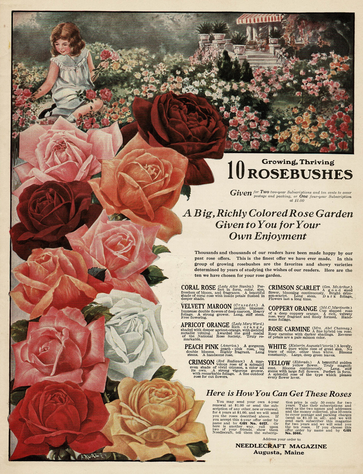 1930s Vintage Red Pink Rose Floral Flower Garden Art Color Print Ad LARGE