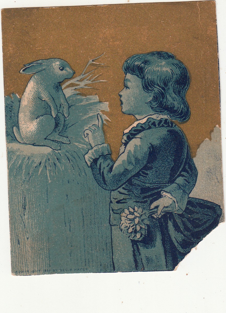 Girl With Rabbit Sitting in Hutch Flower No Advertising Vict Card c1880s