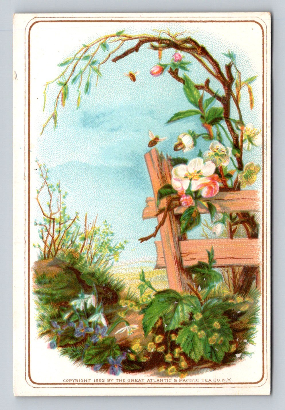 Great Atlantic Pacific Company Flowers Fence Trade Card P897