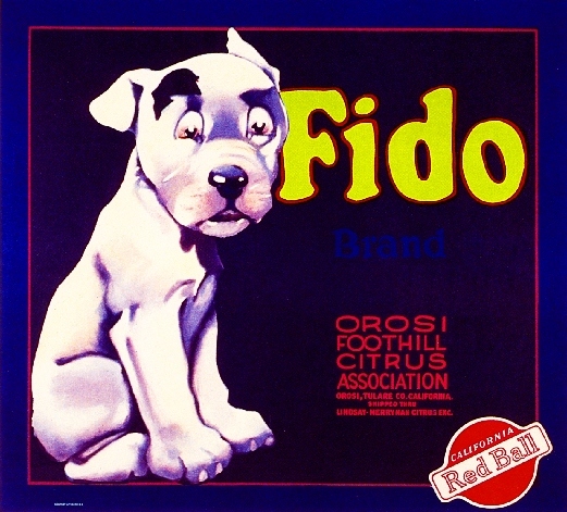 Orosi Tulare County Fido Dog Orange Citrus Fruit Crate Label Art Print