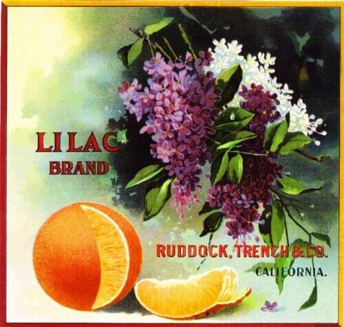 Lilac Brand Los Angeles Flowers Orange Retro Citrus Fruit Crate Label Art Print